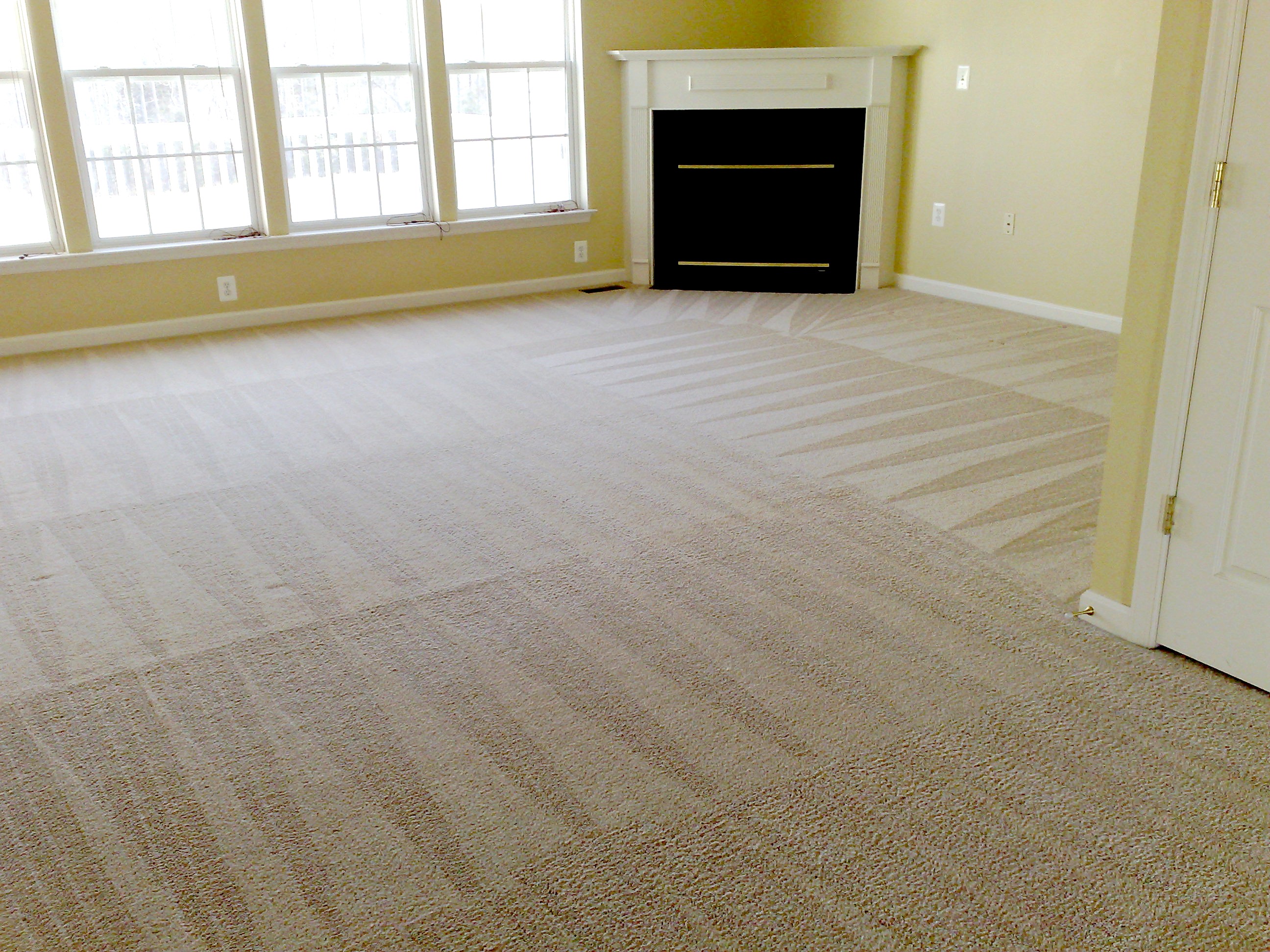 Reliable Carpet Cleaning Services