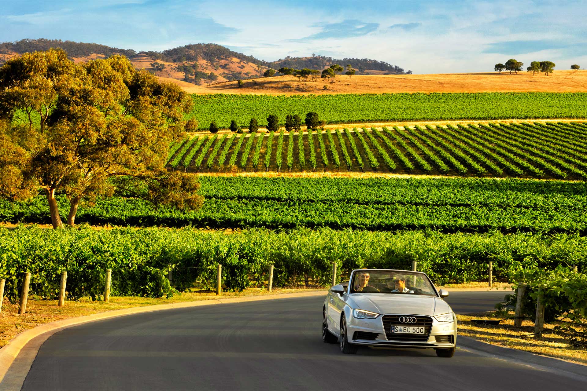Barossa Valley – A Prominent Wine Region in Australia