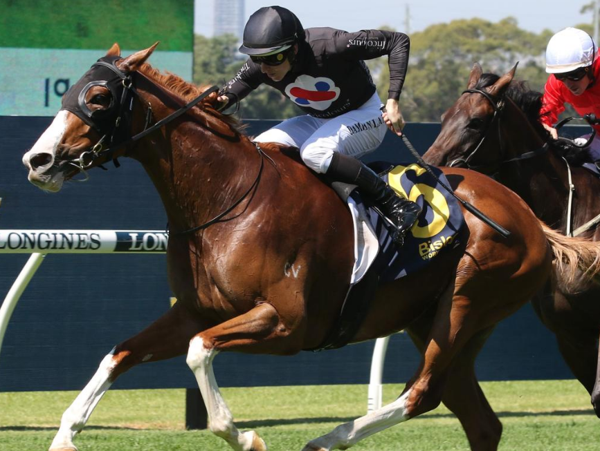 Why Professional Horse Racing Tips in Melbourne are a Game Changer