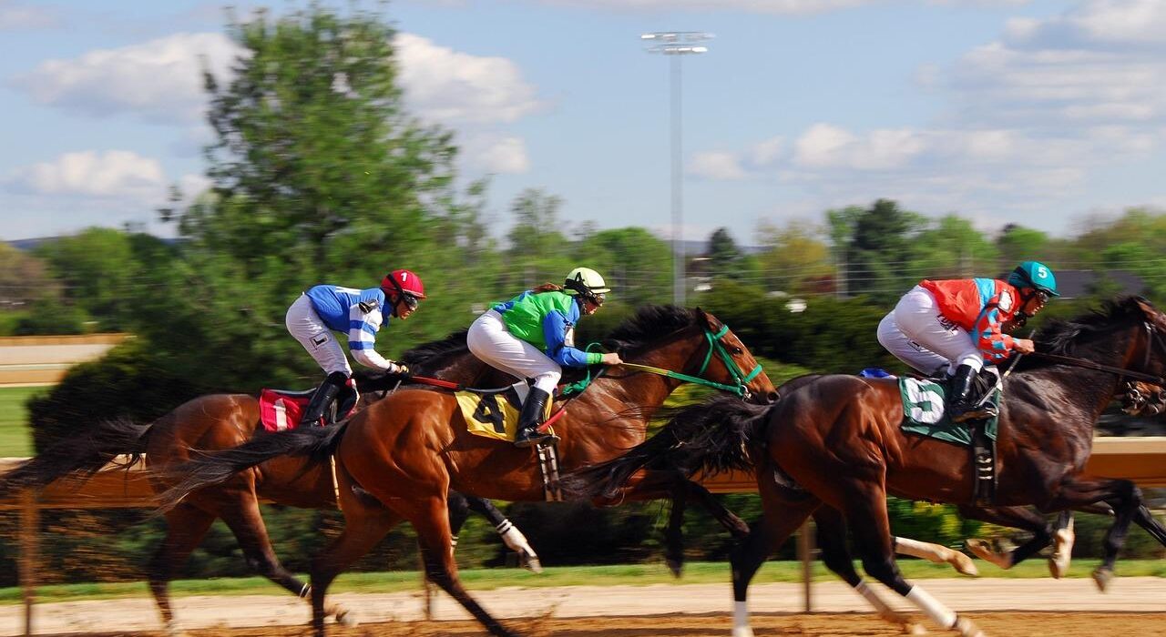 Gain an Edge with Professional Horse Racing Tips Melbourne Experts